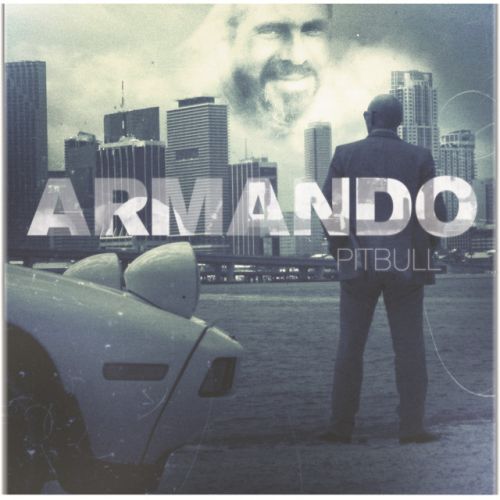 دانلود آهنگ Maldito Alcohol (Pitbull vs. Afrojack) از Pitbull & AFROJACK