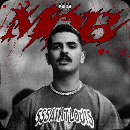 دانلود آهنگ Mob از Big Shaggy
