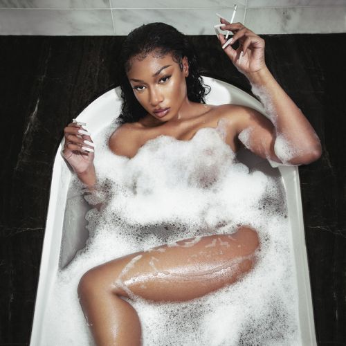 دانلود آهنگ Plan B از Megan Thee Stallion