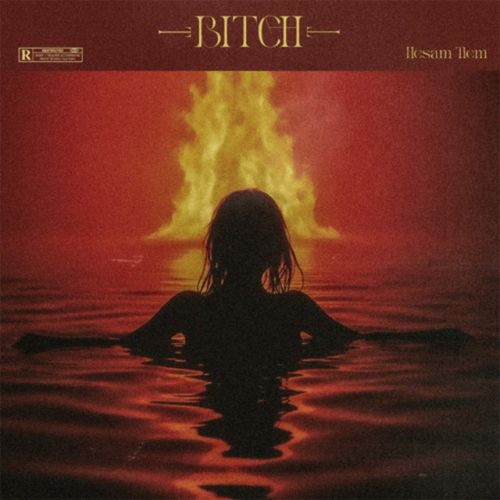 دانلود آهنگ BITCH از HesamTiem