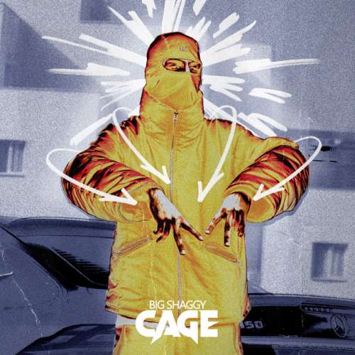 دانلود آهنگ Cage از Big Shaggy