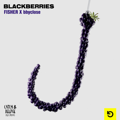 دانلود آهنگ Blackberries از FISHER & bbyclose