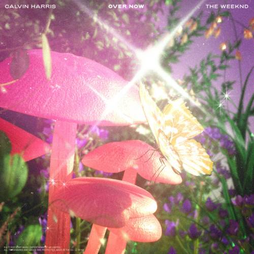 دانلود آهنگ Over Now (with The Weeknd) از Calvin Harris & The Weeknd
