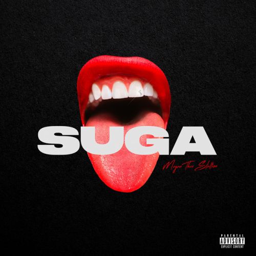 دانلود آهنگ Captain Hook از Megan Thee Stallion