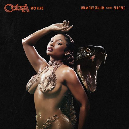 دانلود آهنگ Cobra (Rock Remix) [feat. Spiritbox] از Megan Thee Stallion & Spiritbox
