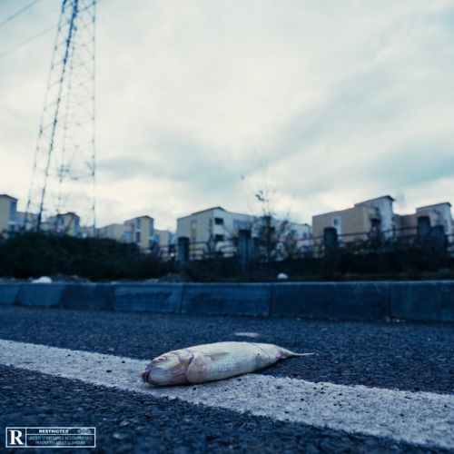دانلود آهنگ Cheshm Dar Barabare Cheshm از Hiphopologist & Ashkan Kagan