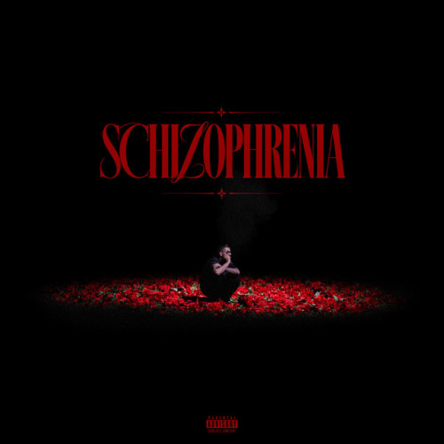 دانلود آهنگ Schizophrenia از Big Shaggy & Hatam