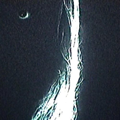 48843