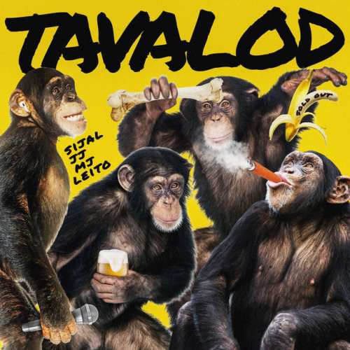 دانلود آهنگ Tavalod از Sijal & Alireza Jj & Behzad Leito & Sohrab Mj