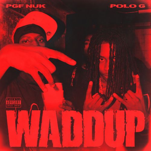 دانلود آهنگ Waddup (feat. Polo G) از PGF Nuk & Polo G