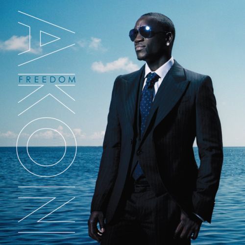 دانلود آهنگ We Don't Care از Akon