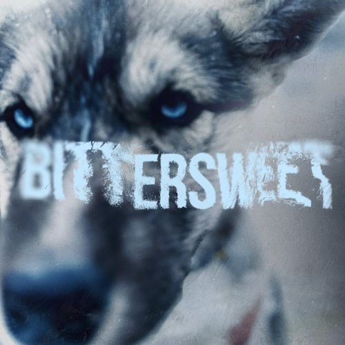 دانلود آهنگ Bittersweet از Gunna