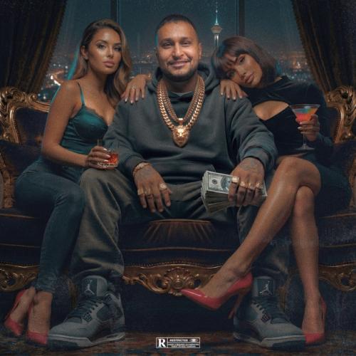 دانلود آهنگ FLEX از Pouriya Adroit