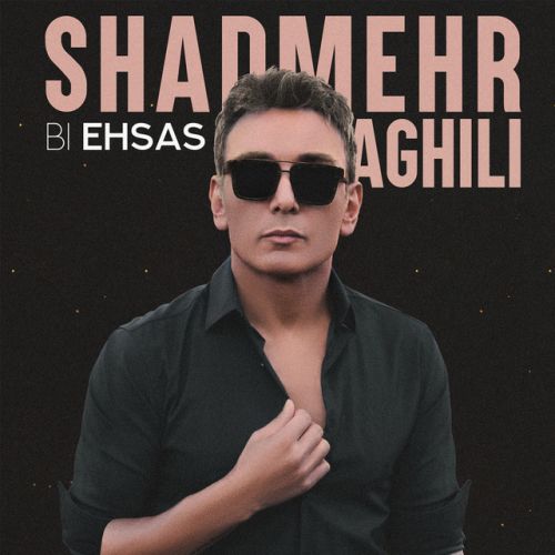 دانلود آهنگ Bi Ehsas از Shadmehr Aghili