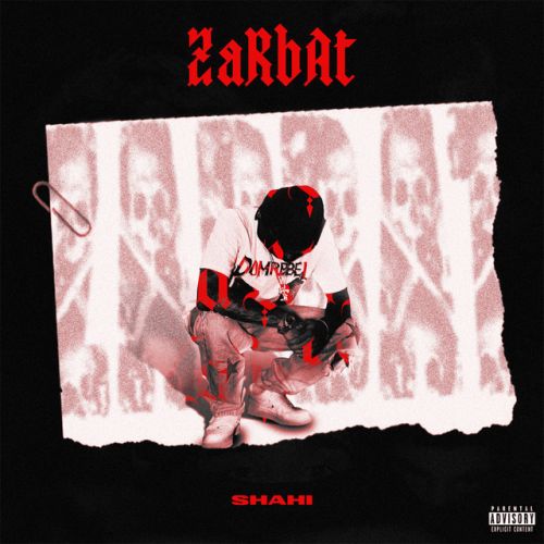 دانلود آهنگ Zarbat از Sajad Shahi