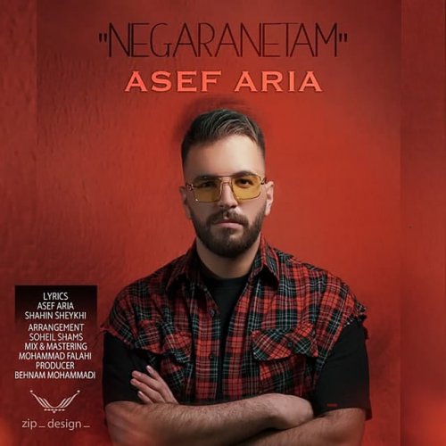 دانلود آهنگ Negaranetam از Asef Aria