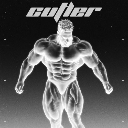 دانلود آهنگ Cutler از CIA