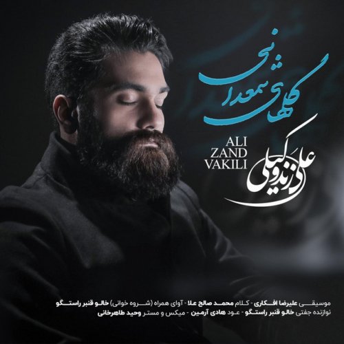 دانلود آهنگ Golhaye Shamdani از Ali Zandevakili