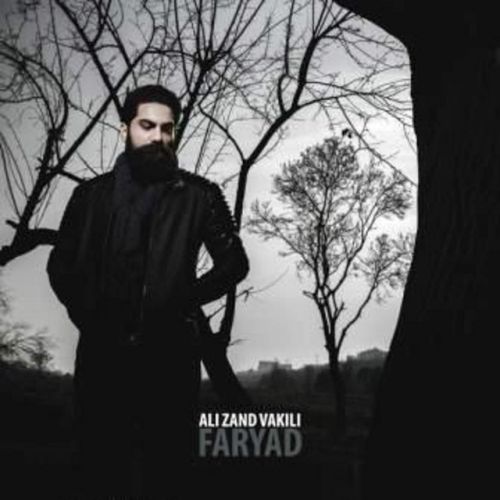دانلود آهنگ Faryad از Ali Zandevakili