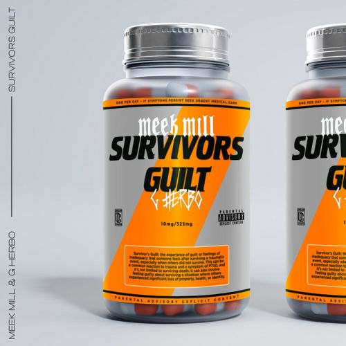 دانلود آهنگ Survivor’s Guilt (feat. G Herbo) از Meek Mill & G Herbo