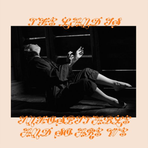 دانلود آهنگ My Love Mine All Mine از Mitski
