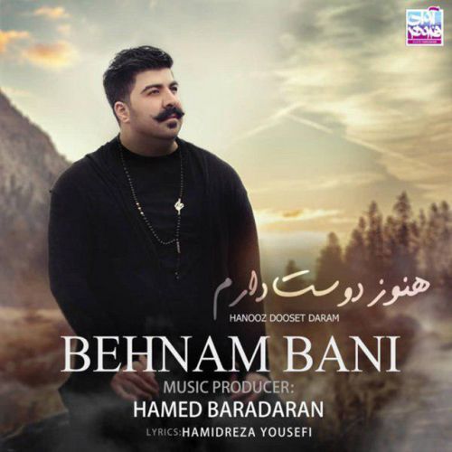 دانلود آهنگ Hanooz Dooset Daram از Behnam Bani