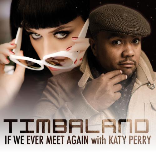 دانلود آهنگ If We Ever Meet Again (International Radio Edit) از Timbaland & Katy Perry