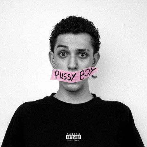 دانلود آهنگ Pussy Boy از Catchybeatz & ILLNOIZ & Soalk & Chvrsi