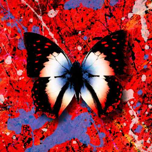 دانلود آهنگ 2step (feat. Lil Baby) از Ed Sheeran & Lil Baby