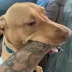 Mackned