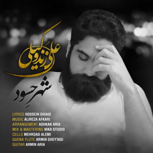 دانلود آهنگ Shahre Hasood از Ali Zandevakili