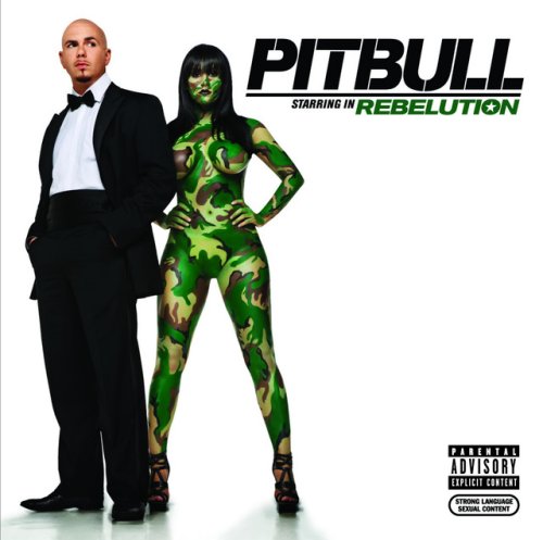 دانلود آهنگ Hotel Room Service از Pitbull