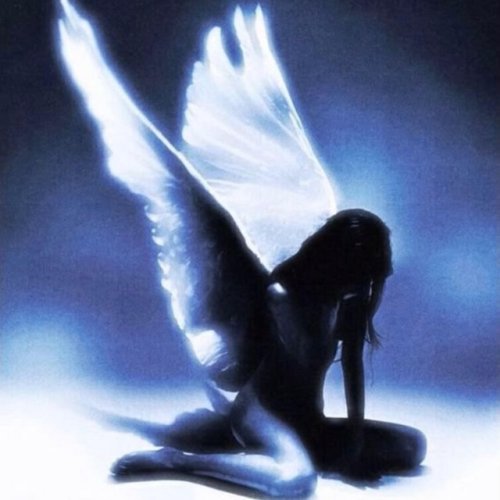 دانلود آهنگ angel از ilyTOMMY