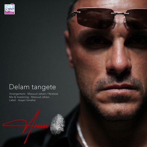 دانلود آهنگ Delam Tangete از Armin Zareei