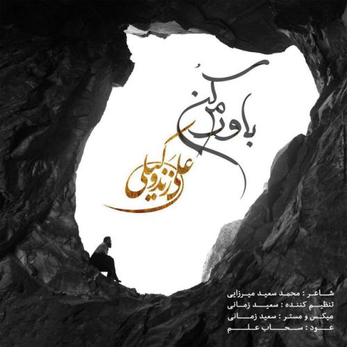 دانلود آهنگ Bavaram Kon از Ali Zandevakili