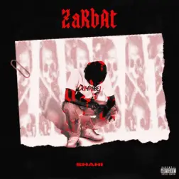 Zarbat