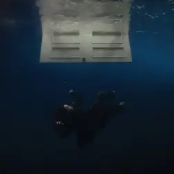 BIRDS OF A FEATHER