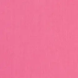Princess Bubblegum