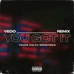 You Got It - Remix